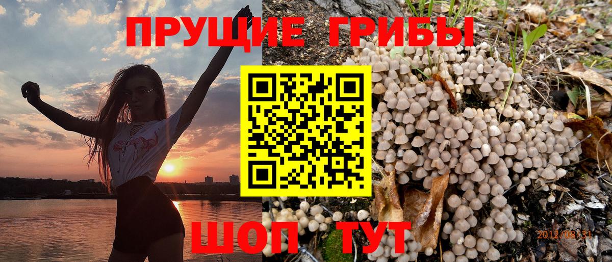 Галлюциногенные грибы прущие грибы Фурманов