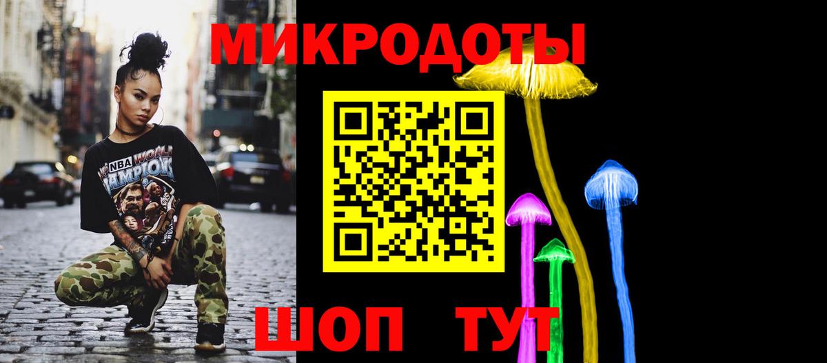 Фурманов  Галлюциногенные грибы Psilocybe  Вход с VPN 